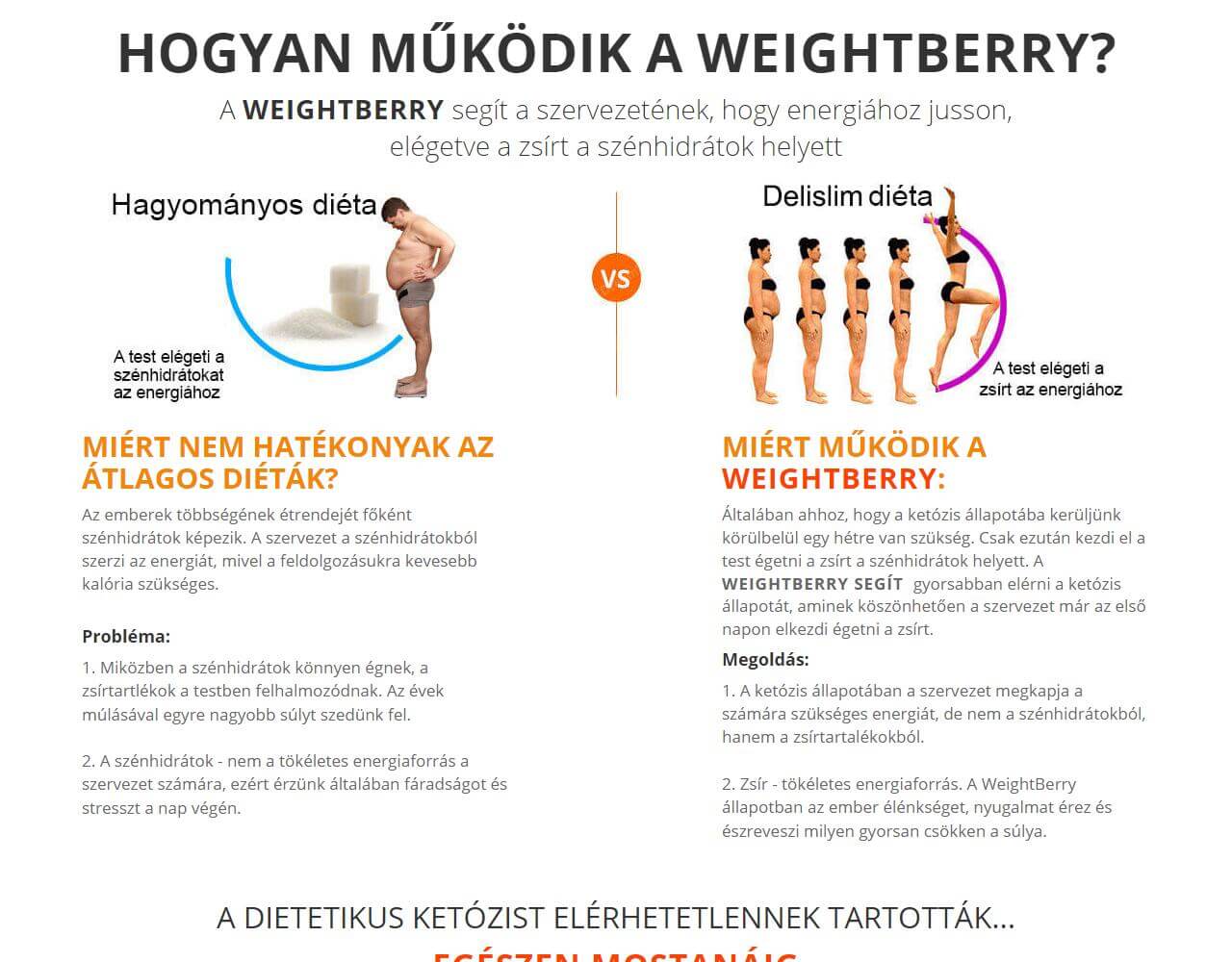 WeightBerry 3